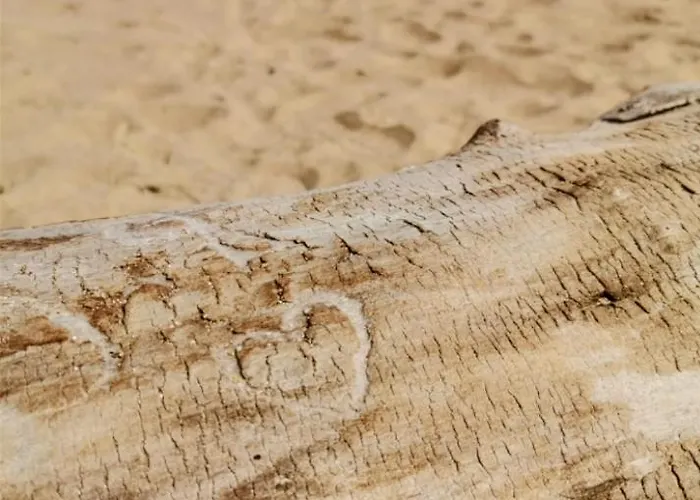 Holiday home 'аз и морето' Krapets (Dobrich)